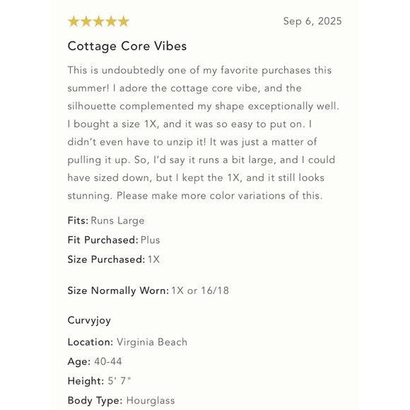 NWT Size 1X - Anthropologie Linen Blend smocked Puff-Sleeve Midi Dress ( US$178) - Picture 14 of 15